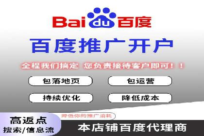 行业领先企业的SEM广告策略与效果分析